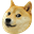 Doge