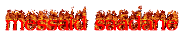 [Image: messaid-saadane.gif]