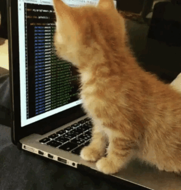 [Image: 9a2e3dd3f3dc79b9da3bd0ee11d347b3.gif]