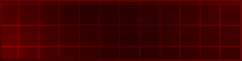 [Image: makaofsda.gif]