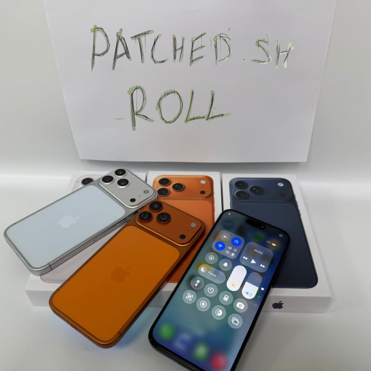 [Image: 241-D6-C17-7640-4974-9353-DC450-CBAAC5-C.jpg]