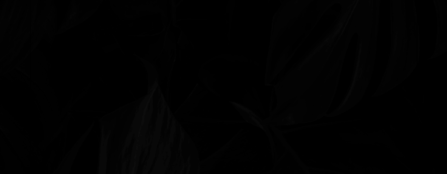 [Image: DQq5Fj3.gif]