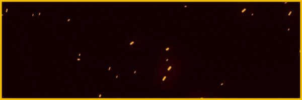 [Image: uHO2tx8.gif]