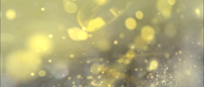 [Image: dukO6wv.gif]