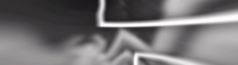 [Image: Sig_Spyder.gif]