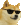 [Image: cooldog.gif]