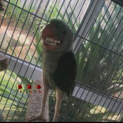 beastmode's Avatar'