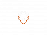 PatchedTo profile picture for @Lord