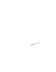PatchedTo profile picture for @Sie