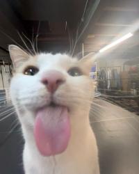 griffr10's Avatar'