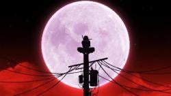 NinjaHatori