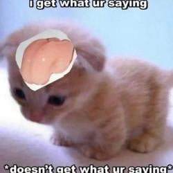 ap00l