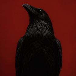 MrZuku's Avatar'