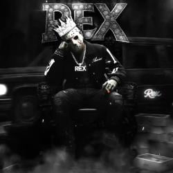 PatchedTo profile picture for @rex