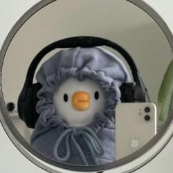 BTCisamemecoin's Avatar'