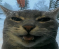 pipipopoxyz's Avatar'