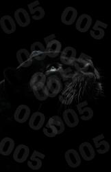 Jess005's Avatar'