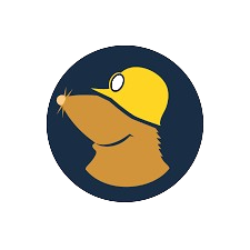 Mullvad's Avatar'