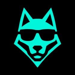 Kayote's Avatar'
