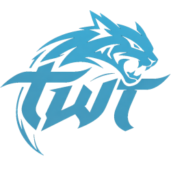 twtdev