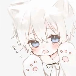 reqzmeow's Avatar'