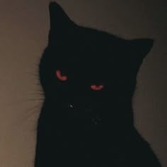 VelvetV7's Avatar'