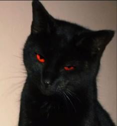NihilSD's Avatar'