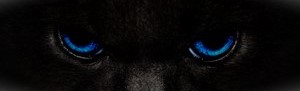 PatchedTo banner for @Mustapha